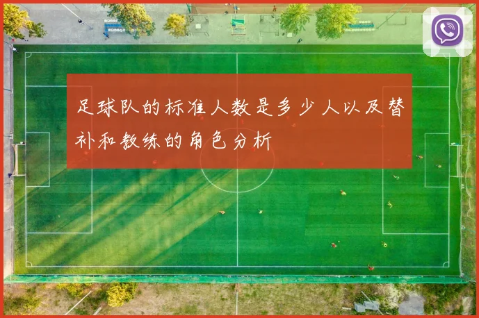 足球队的标准人数是多少人以及替补和教练的角色分析