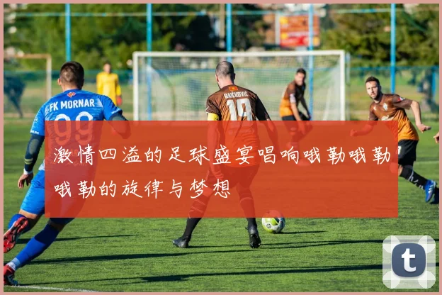 激情四溢的足球盛宴唱响哦勒哦勒哦勒的旋律与梦想